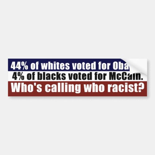 Politics and Racism Bumper Sticker