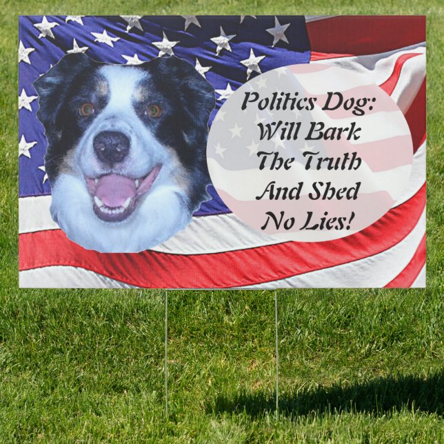 Politics Border Collie and American Flag Sign (Insitu)