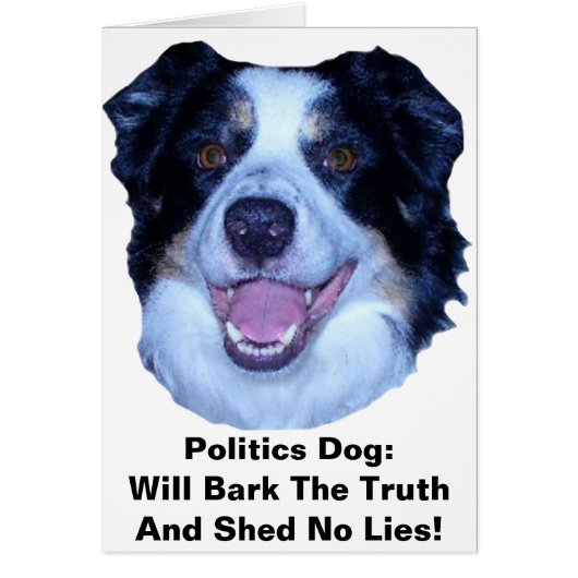 Politics Border Collie Will Bark The Truth Cards (Front)