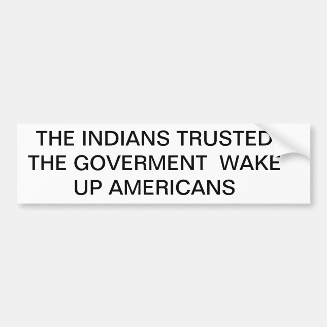 POLITICS BUMPER STICKER (Front)