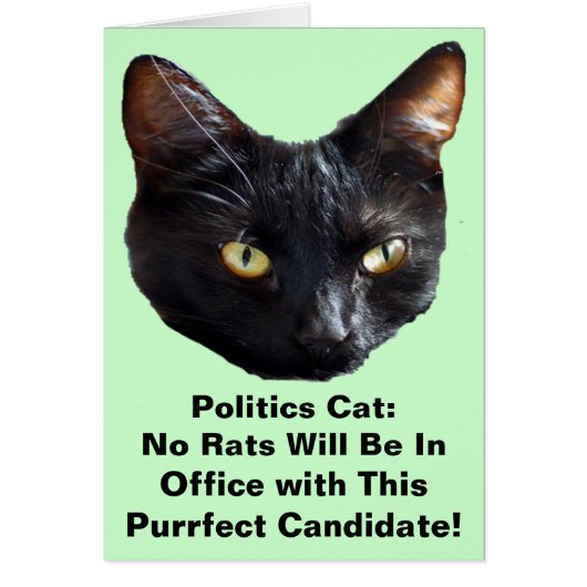Politics Cat No Rats Will Be In Office Cards (Front)