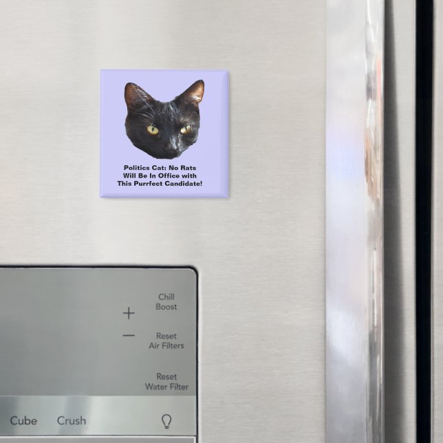 Politics Cat No Rats Will Be In Office Sq Magnet (In Situ (Fridge))