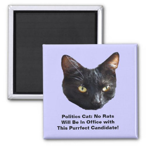 Politics Cat No Rats Will Be In Office Sq Magnet