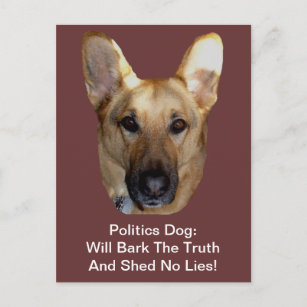 Politics German Shepherd Dog Will Bark The Truth Postcard