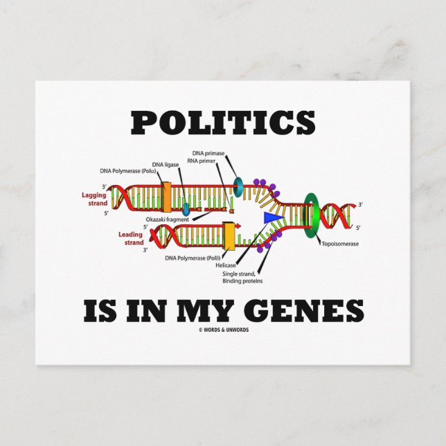 Politics Is In My Genes DNA Humor Postcard (Front)
