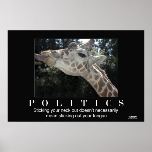 Politics Poster