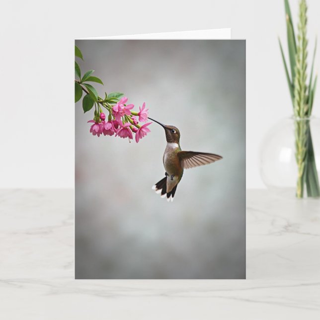 Polka Dot Hummingbird Bloom Card (Front)