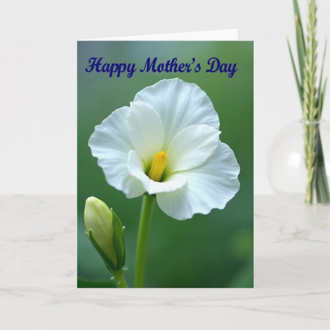 Polka Dot White Blossom Card (Front)