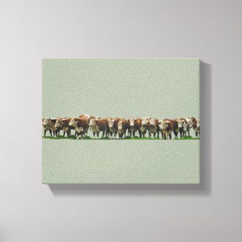 Poll Herefords Canvas Print by Youbeaut at Zazzle