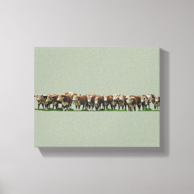 Poll Herefords Canvas Print (Front)
