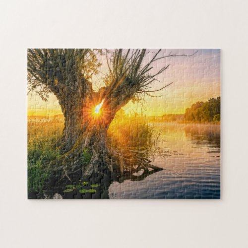 Pollard willow by misty river sunrise jigsaw puzzle