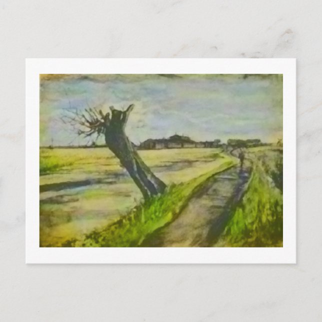 Pollard Willow Van Gogh Fine Art Painting Postcard (Front)