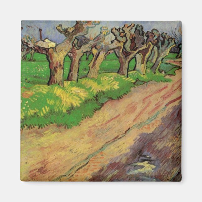 Pollard Willows by Vincent van Gogh Magnet (Front)
