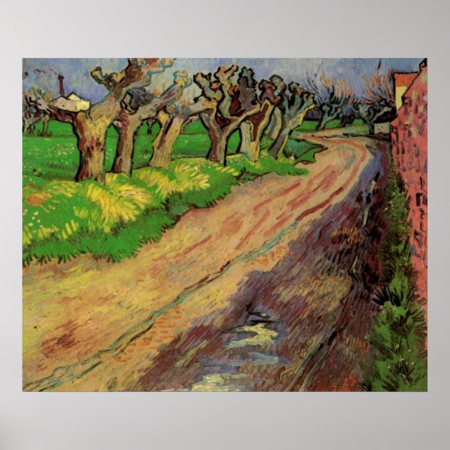 Pollard Willows by Vincent van Gogh Poster (Front)