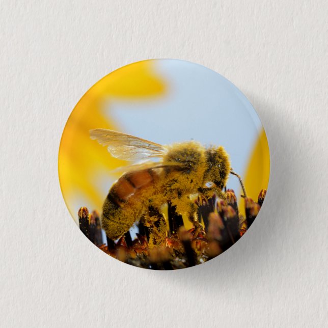 Pollen-Coated Honey Bee on a Sunflower Button (Front)