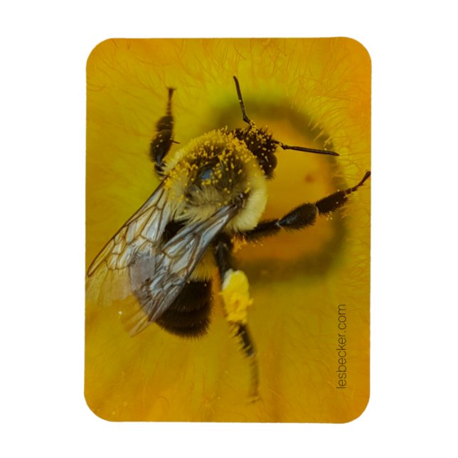 Pollen-covered Bee Magnet (Vertical)