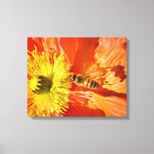 Pollination in Orange and Yellow canvas wrap Print (Front)