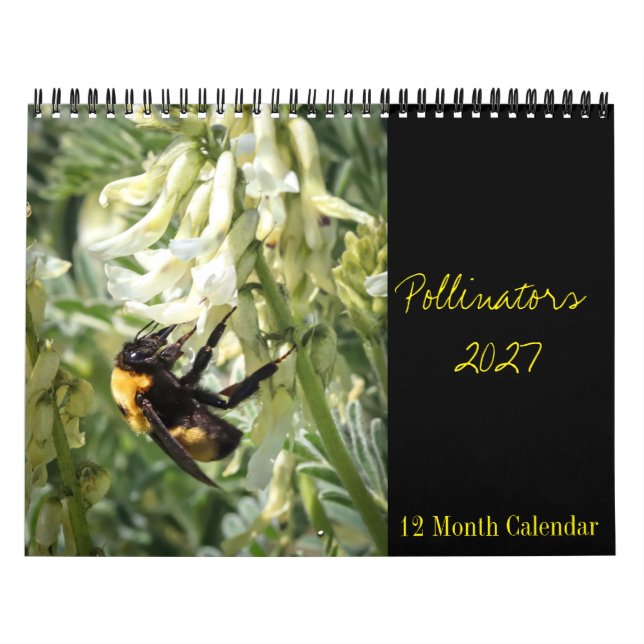 Pollinator Calendar 2027 (Cover)