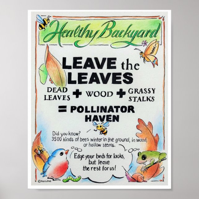 Pollinator Friendly Education - Leave the Leaves Poster (Front)