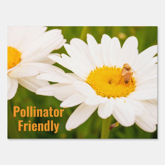 Pollinator Friendly Garden Honeybee Daisy Flowers  Sign (Front)