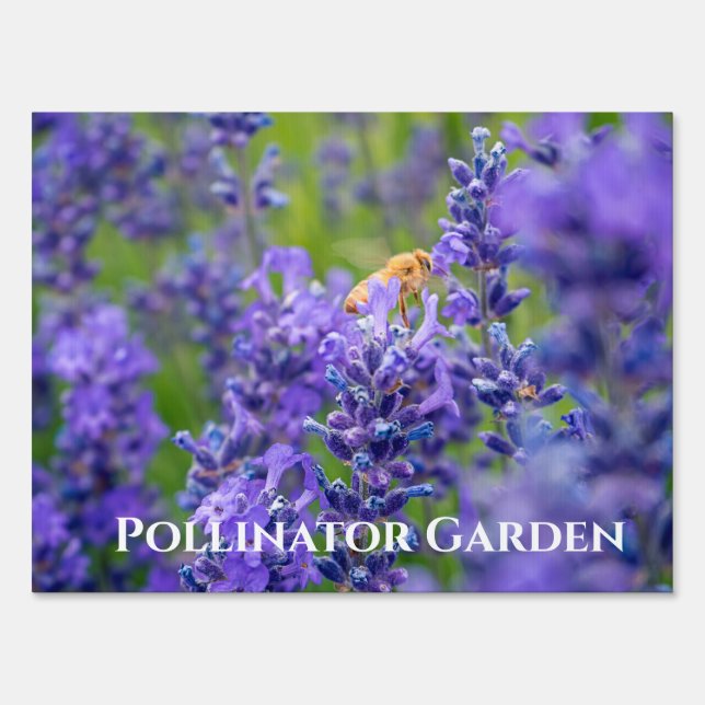 Pollinator Garden Honeybee Lavender Flowers Herbs Sign (Front)