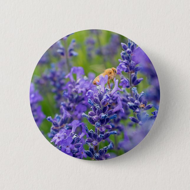 Pollinator Save The Bees Lavender Flowers Herbs Button (Front)