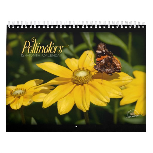 Pollinators Calendar (Cover)