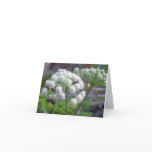 Pollinators on White Angelica Flowers Card