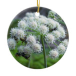 Pollinators on White Angelica Flowers Ceramic Ornament