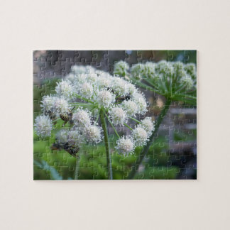 Pollinators on White Angelica Flowers Jigsaw Puzzle