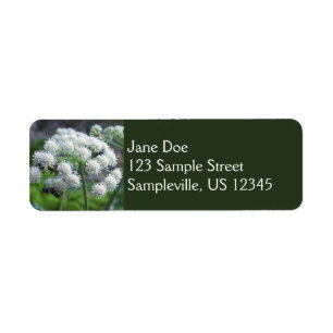 Pollinators on White Angelica Flowers Label