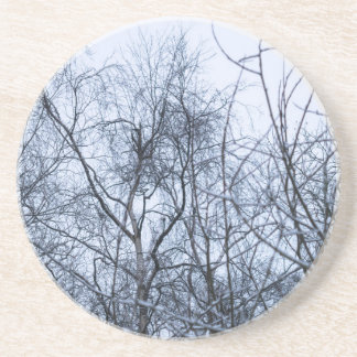 Pollock's Branches Drink Coaster