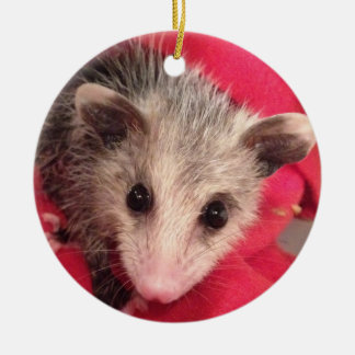 Polly Cute Baby  Possum Ceramic Ornament
