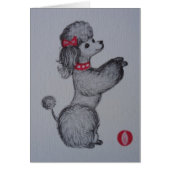 Polly the Poodle (Front)
