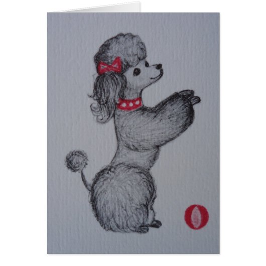 Polly the Poodle Cards (Front)