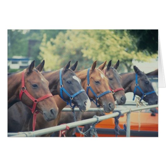 Polo Pony String (Front Horizontal)