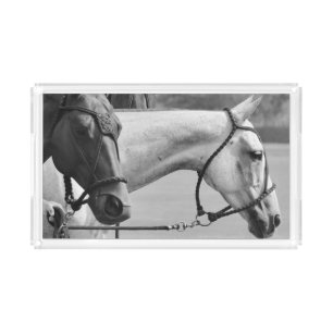 polo pony tray