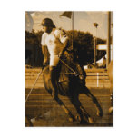Polo Postcard