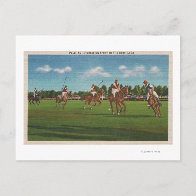 Polo Scene with Players and Horses on Lawn Postcard (Front)