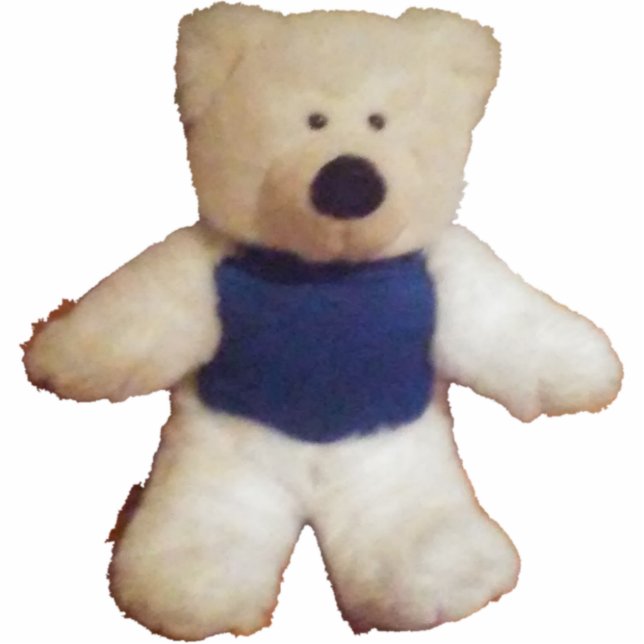 Polory Cutout (Front)