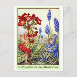 Polyanthus and Grape Hyacinth Fairy Postcard