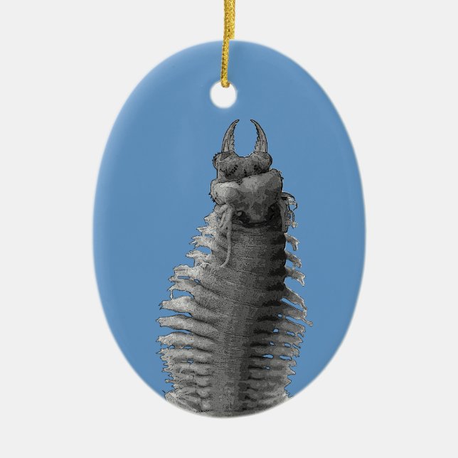Polychaete Worm Christmas Ornament (Front)