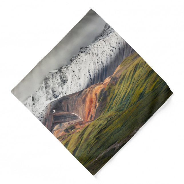 Polychrome mountain, Denali NP, Alaska Bandana (Front)