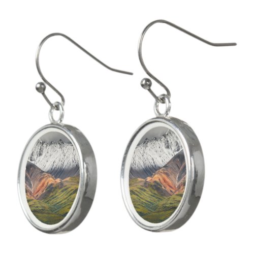 Polychrome mountain Denali NP Alaska Earrings