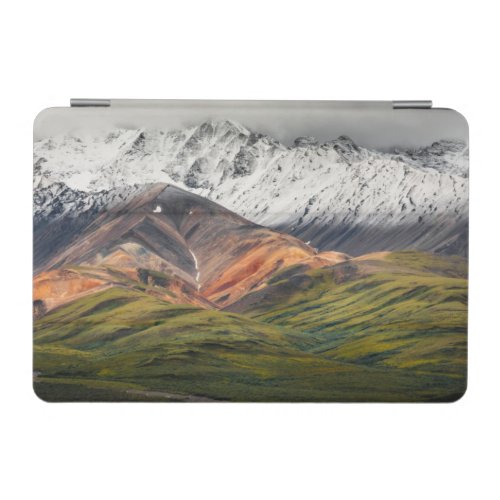 Polychrome mountain Denali NP Alaska iPad Mini Cover