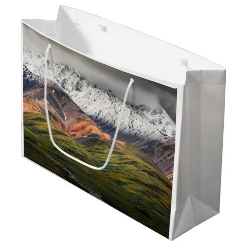 Polychrome mountain Denali NP Alaska Large Gift Bag