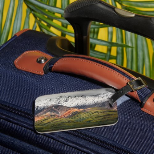 Polychrome mountain Denali NP Alaska Luggage Tag