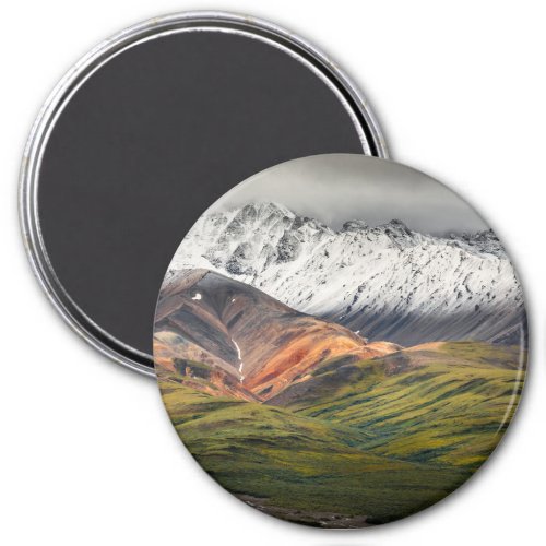 Polychrome mountain Denali NP Alaska Magnet