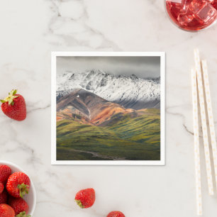 Polychrome mountain, Denali NP, Alaska Napkins