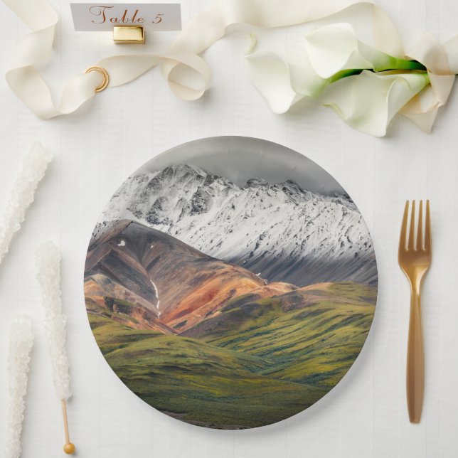Polychrome mountain, Denali NP, Alaska Paper Plates (Wedding)
